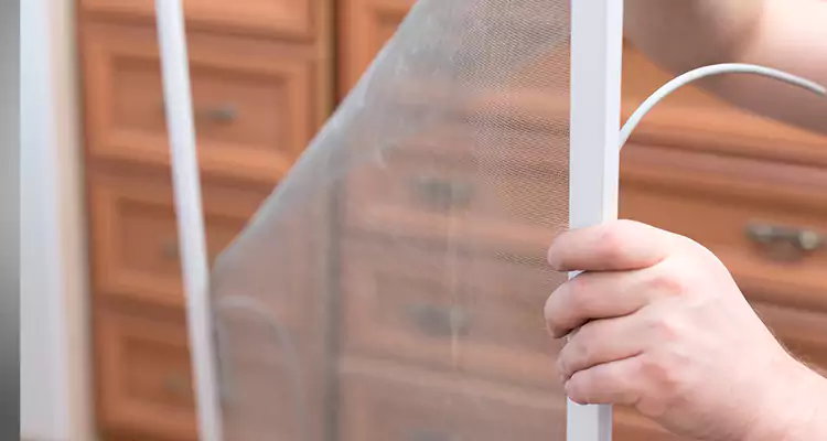 Privacy Mesh Screen Door Installation in North Lauderdale, FL
